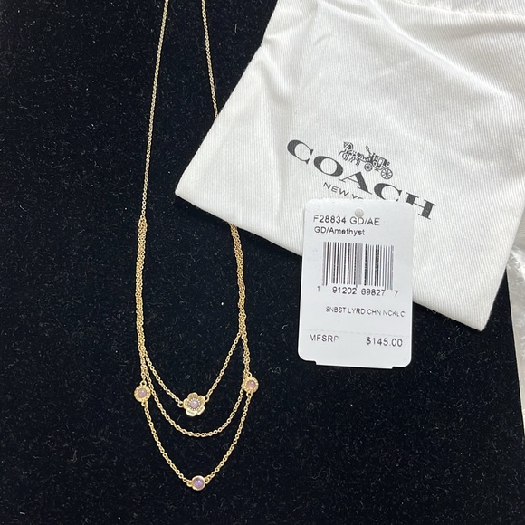 Coach Demi Fine Sunburst Layered Chain Necklace - Picture 9 of 9